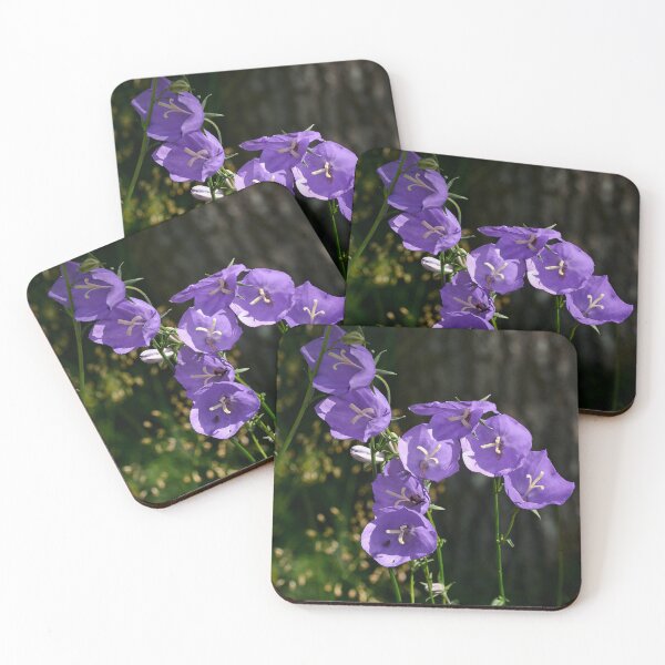 Item preview, Peach-leaved Bellflower designed and sold by Jouko Lehto Photography.