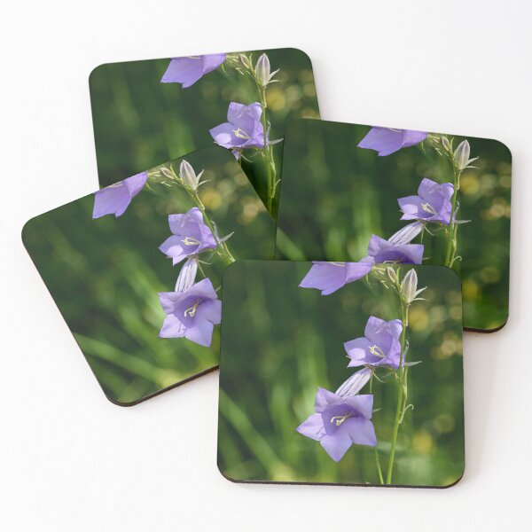 Item preview, About Trio Bell. Peach-leaved Bellflower designed and sold by Jouko Lehto Photography.
