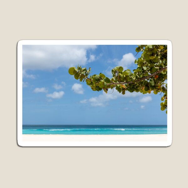 Item preview, Eagle Beach Vibes designed and sold by Sherry Smith.