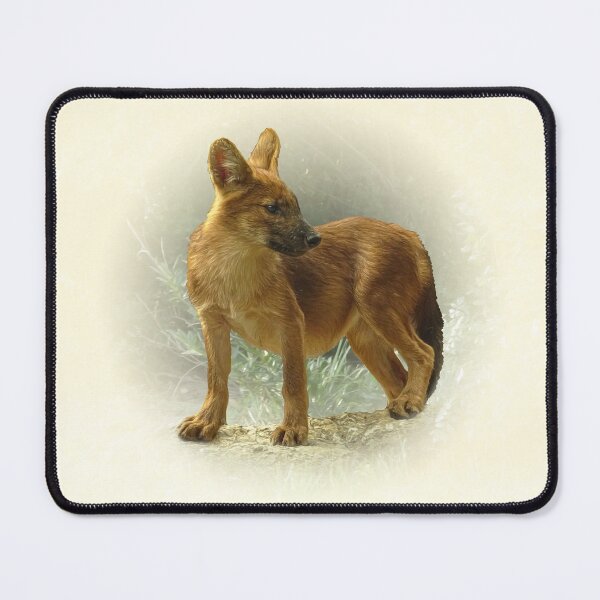 Item preview, Dhole cub designed and sold by Guardi71.