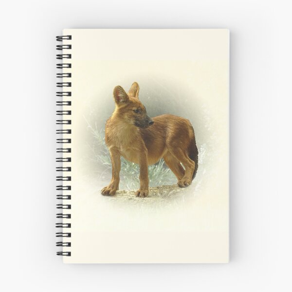 Item preview, Dhole cub designed and sold by Guardi71.