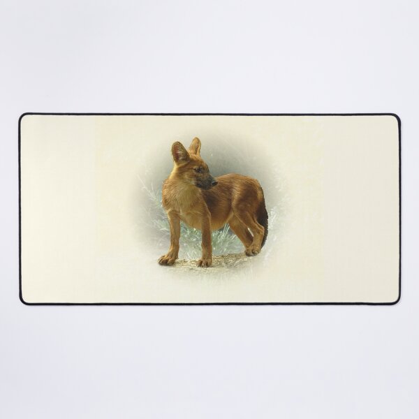 Item preview, Dhole cub designed and sold by Guardi71.