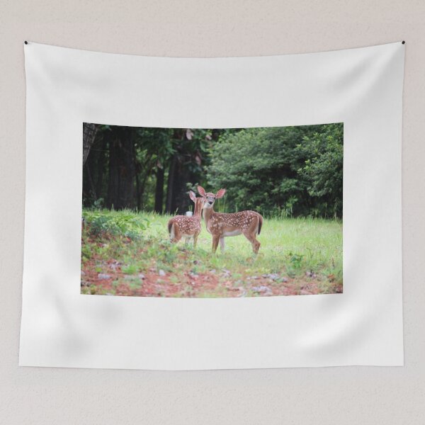 Item preview, Fawns Are Listening designed and sold by Cynthia48.