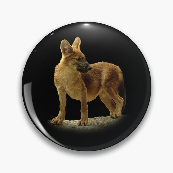 Item preview, Dhole cub designed and sold by Guardi71.