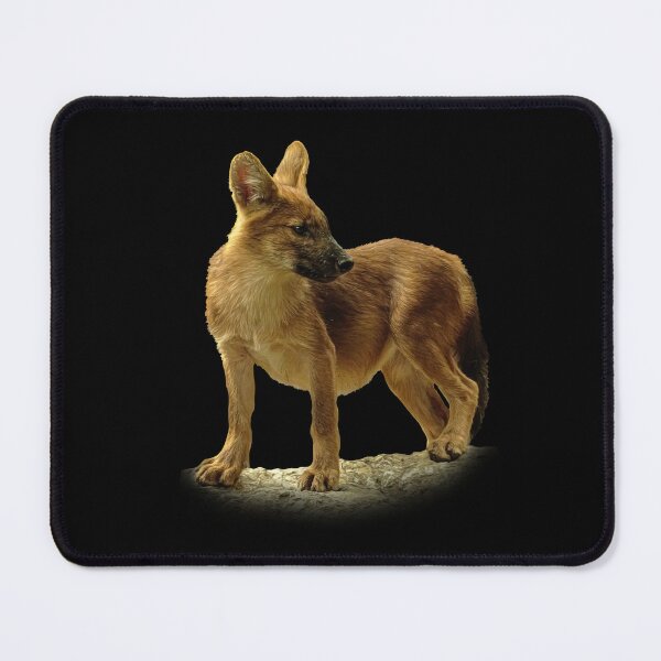 Item preview, Dhole cub designed and sold by Guardi71.