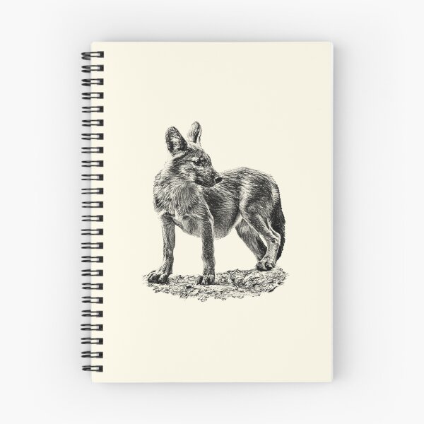 Item preview, Dhole cub designed and sold by Guardi71.