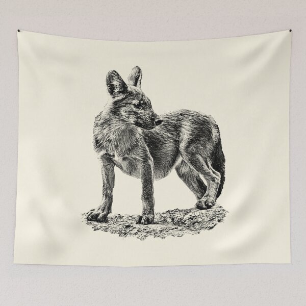 Item preview, Dhole cub designed and sold by Guardi71.