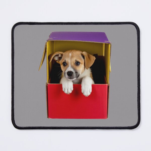 Item preview, Copia de Seven Lives, Zero Responsibilities - Funny Cat Design designed and sold by NeoCrea.