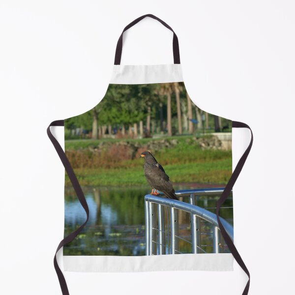 Item preview, Snail Kite designed and sold by MercerImages.