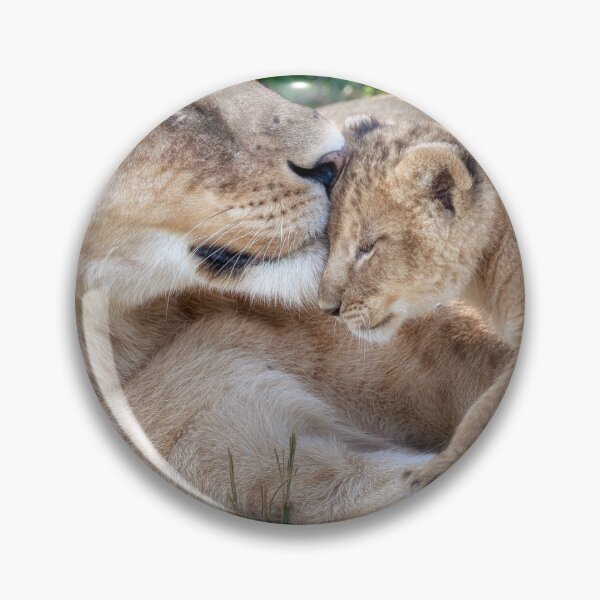 Item preview, Lion Cub and Mom 2 Masai Mara Kenya designed and sold by PhotoArt by Joan Carroll.