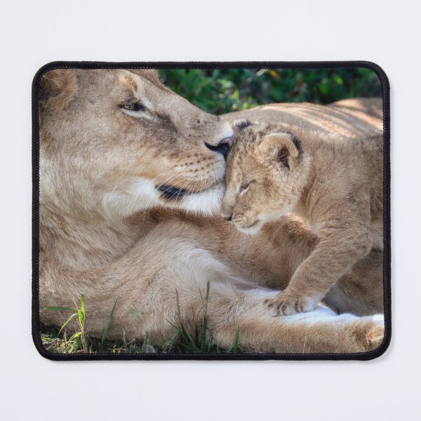 Item preview, Lion Cub and Mom 2 Masai Mara Kenya designed and sold by PhotoArt by Joan Carroll.
