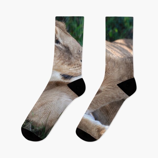 Item preview, Lion Cub and Mom 2 Masai Mara Kenya designed and sold by PhotoArt by Joan Carroll.