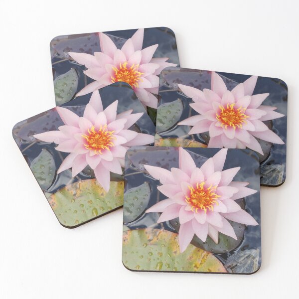 Item preview, Single pink waterlily photograph  designed and sold by esvb.