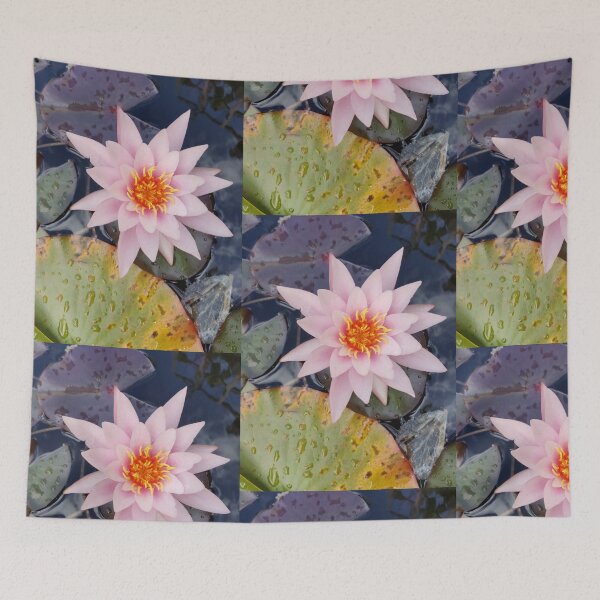 Item preview, Single pink waterlily photograph  designed and sold by esvb.
