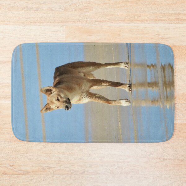 Item preview, Dingo on K'gari Fraser Island designed and sold by Mark Grimsley.