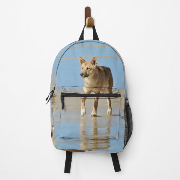 Item preview, Dingo on K'gari Fraser Island designed and sold by Mark Grimsley.