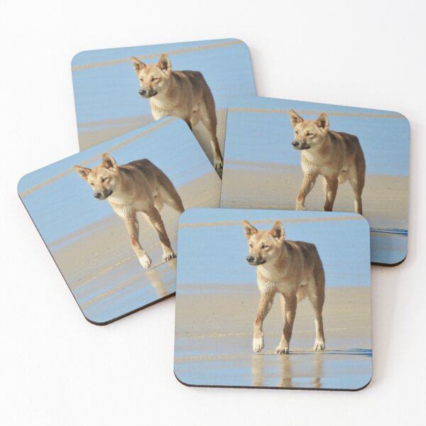 Item preview, Dingo on K'gari Fraser Island designed and sold by Mark Grimsley.