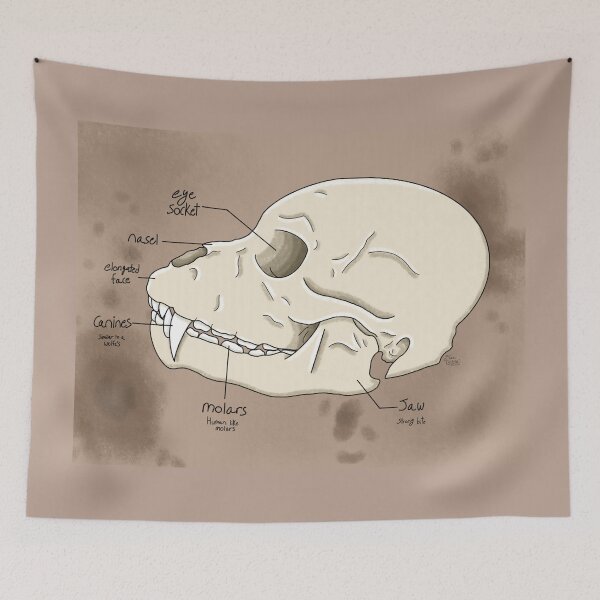 Item preview, Werewolf Skull Diagram - Lonely Vampire 3rd Year Anniversary  designed and sold by Fallen-101.