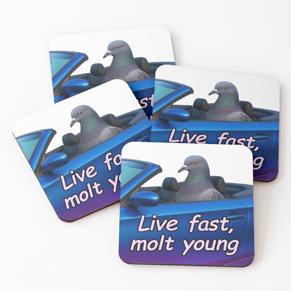 Item preview, live fast, molt young transparent designed and sold by beanses.