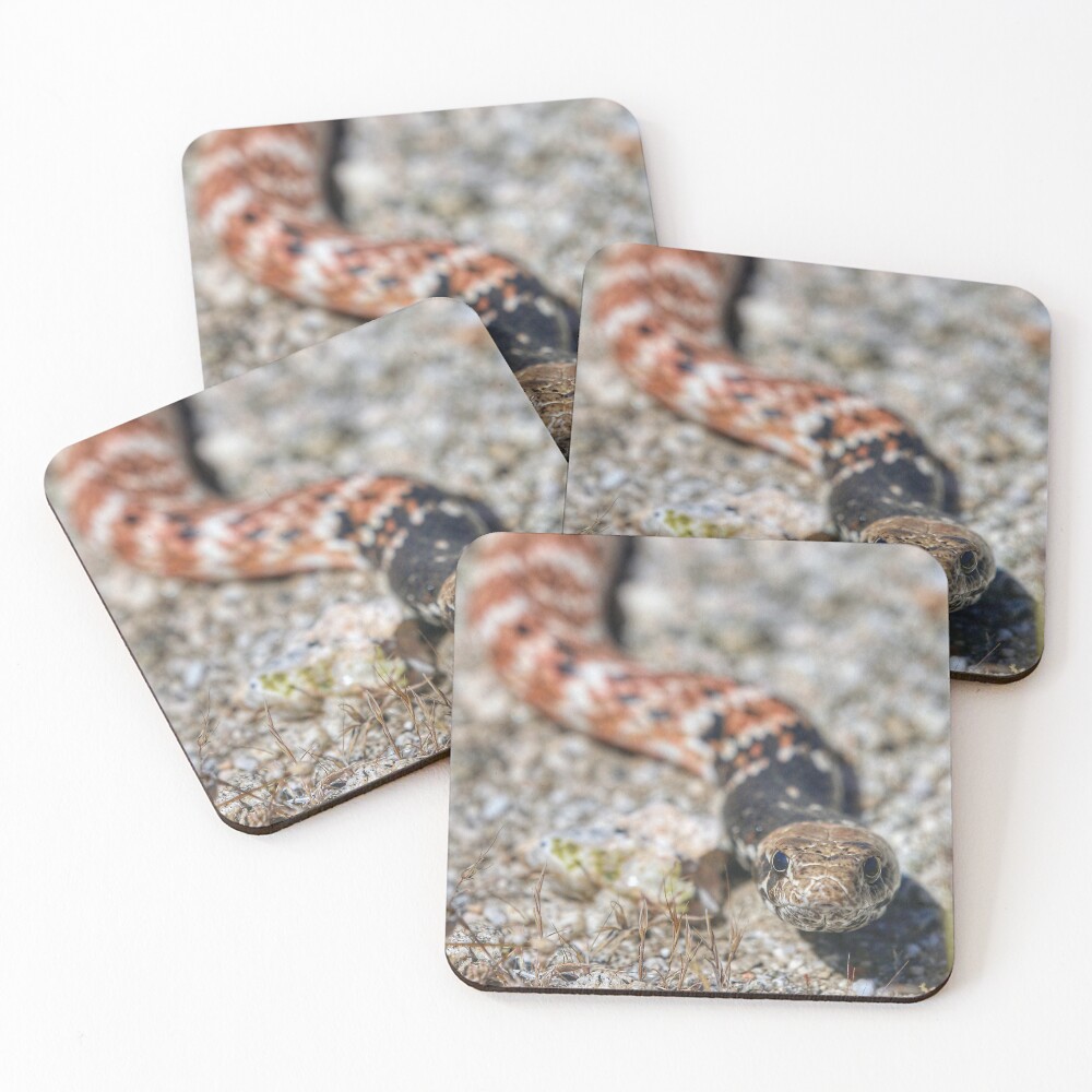 Item preview, Coasters (Set of 4) designed and sold by ScottCollins.