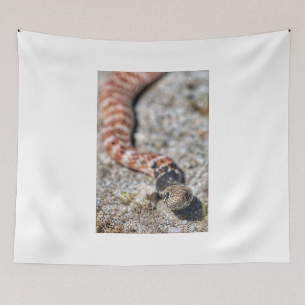 Item preview, Red Racer  designed and sold by Scott Collins.