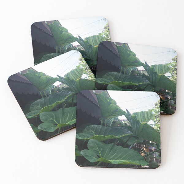 Item preview, Giant Taro designed and sold by ROSE ANN BANILAR.
