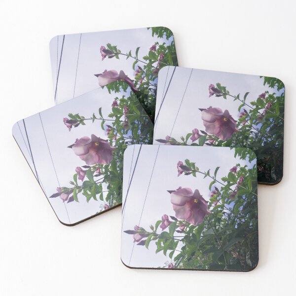 Item preview, Allamanda blanchetii designed and sold by ROSE ANN BANILAR.