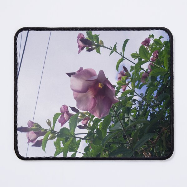 Item preview, Allamanda blanchetii designed and sold by ROSE ANN BANILAR.