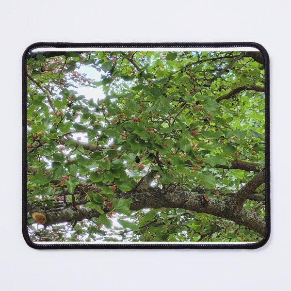 Item preview, Mulberry Time! designed and sold by Domple Art.