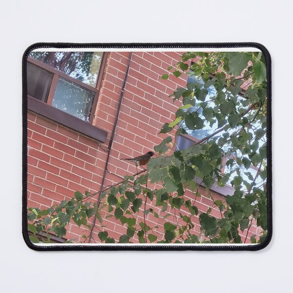 Item preview, Complimentary Complements designed and sold by Domple Art.