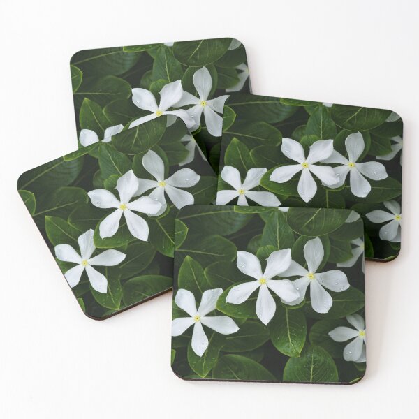 Item preview, Tropical white flowers with perfect petals designed and sold by franck380.
