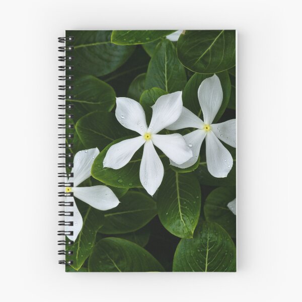 Item preview, Tropical white flowers with perfect petals designed and sold by franck380.