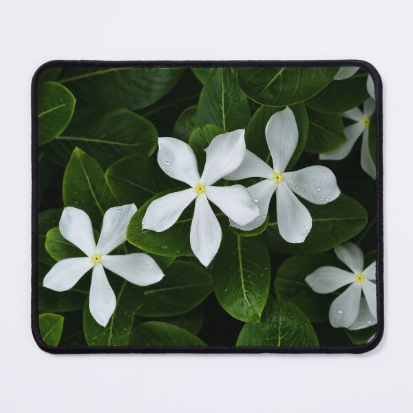 Item preview, Tropical white flowers with perfect petals designed and sold by franck380.