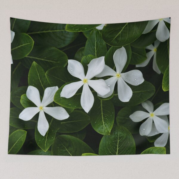 Item preview, Tropical white flowers with perfect petals designed and sold by franck380.