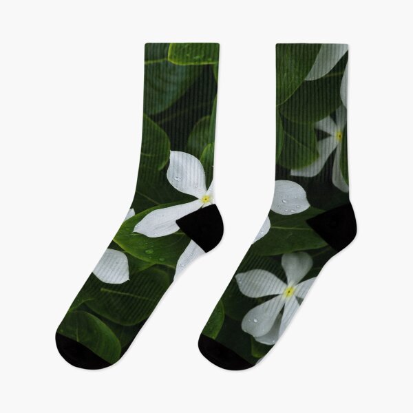 Item preview, Tropical white flowers with perfect petals designed and sold by franck380.