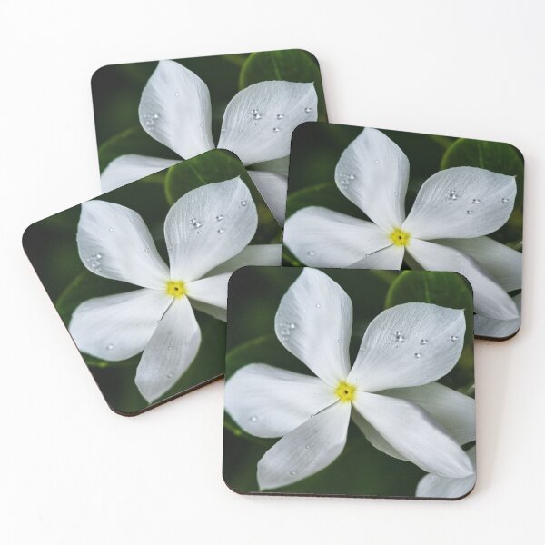 Item preview, Tropical white flowers with perfect petals designed and sold by franck380.