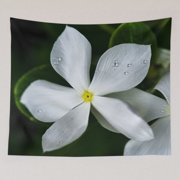 Item preview, Tropical white flowers with perfect petals designed and sold by franck380.