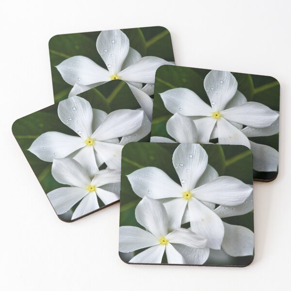 Item preview, Tropical white flowers with perfect petals designed and sold by franck380.