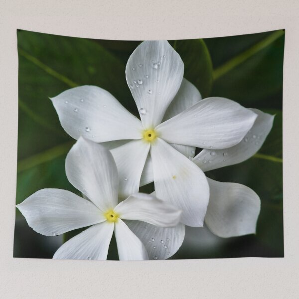 Item preview, Tropical white flowers with perfect petals designed and sold by franck380.