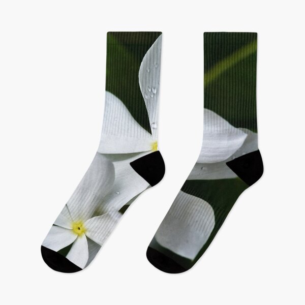 Item preview, Tropical white flowers with perfect petals designed and sold by franck380.