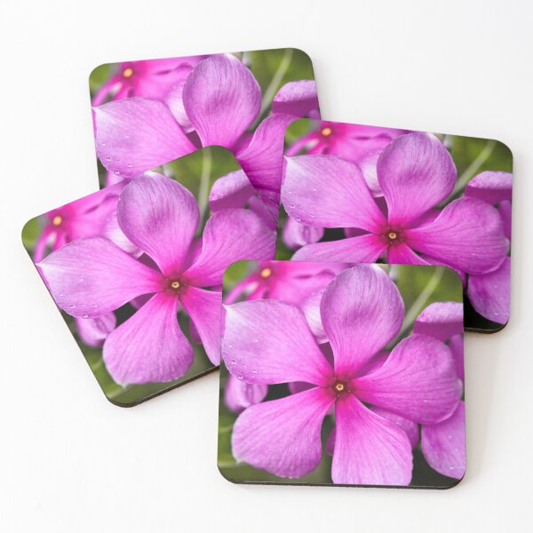 Item preview, Exotic pink flower illuminated by pearls of dew designed and sold by franck380.