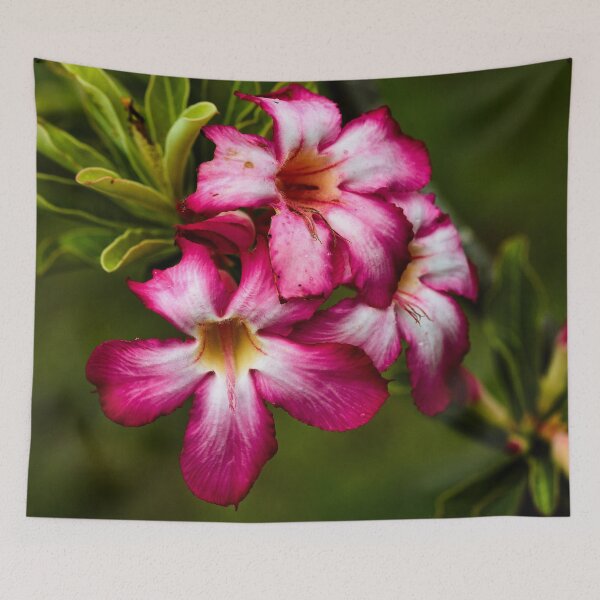 Item preview, Exotic flower with vibrant petals designed and sold by franck380.