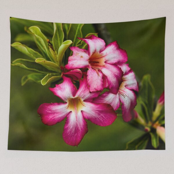 Item preview, Tropical burst of pink and white flowers designed and sold by franck380.
