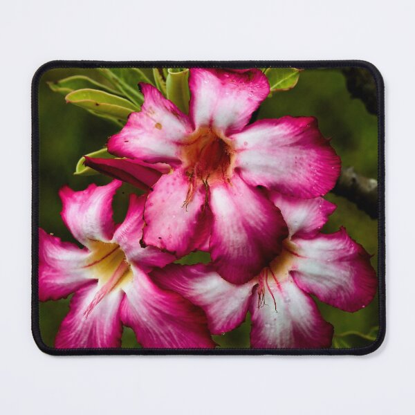 Item preview, Tropical burst of pink and white flowers designed and sold by franck380.