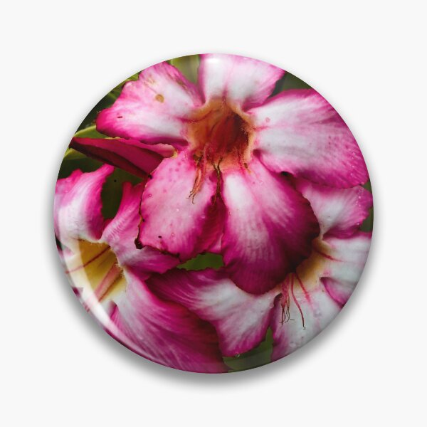 Item preview, Tropical burst of pink and white flowers designed and sold by franck380.