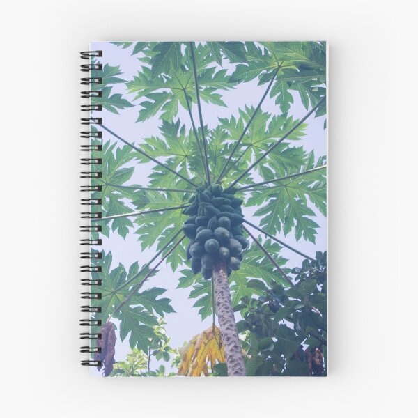 Item preview, papaya tree designed and sold by ROSE ANN BANILAR.