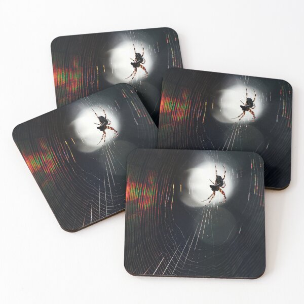 Item preview, 26.7.2025: Spider and Cobweb designed and sold by Petri Volanen.
