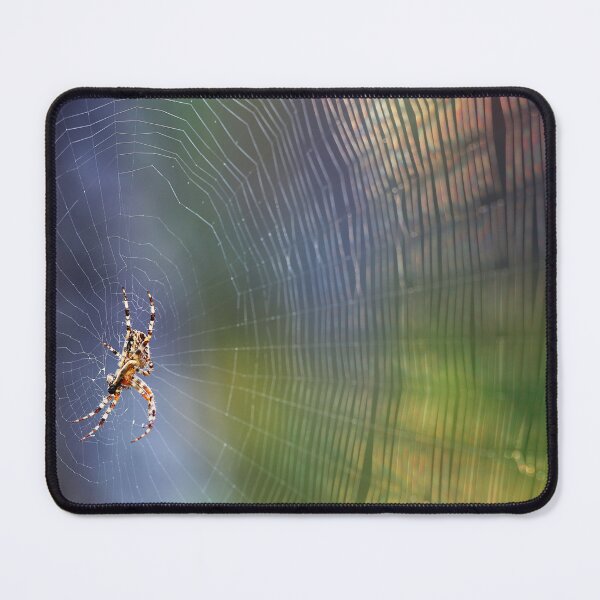 Item preview, 26.7.2025: Spider and Cobweb designed and sold by Petri Volanen.