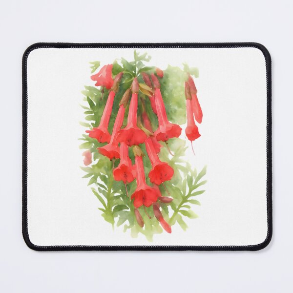 Item preview, Cantuta (Cantua buxifolia) designed and sold by HOMETOWN86.