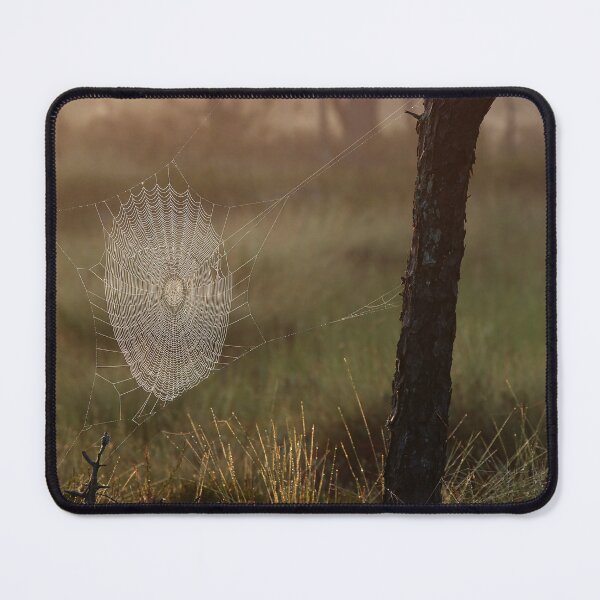 Item preview, 3.8.2025: Cobweb at Marsh designed and sold by Petri Volanen.